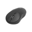 FRISBY PS/2  3 BUTTONS OPTICAL MOUSE resmi