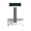 DIGI SM100 P 15 KG ETH TERAZI resmi