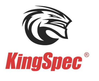 KINGSPEC üreticisi resmi